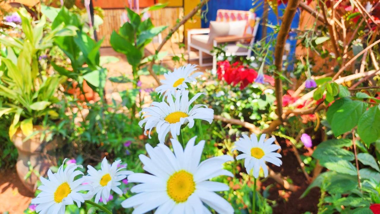 Yambi Guesthouse Кигали Екстериор снимка